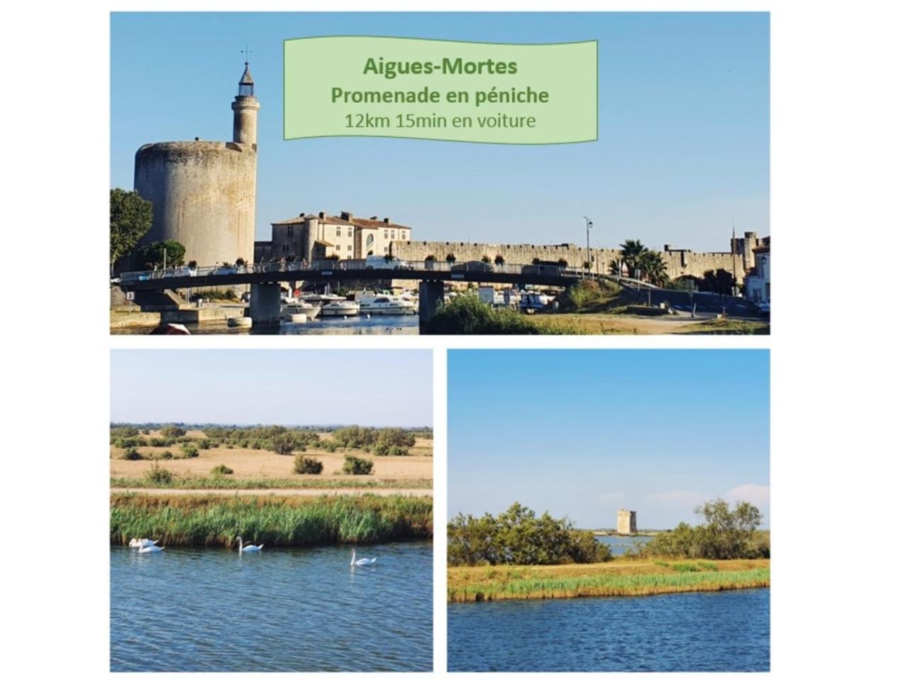 T2 Traversant Familial Cap Sud Parking Plages - Rossiconciergerie - Linge En Option La Grande-Motte Exterior foto